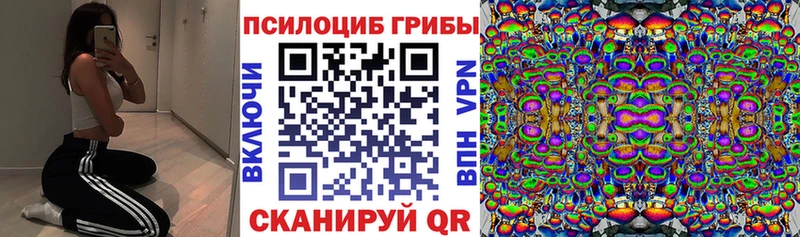 Галлюциногенные грибы Cubensis Белореченск