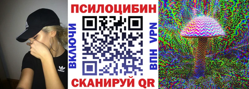 Галлюциногенные грибы Psilocybine cubensis  цена наркотик  Белореченск 