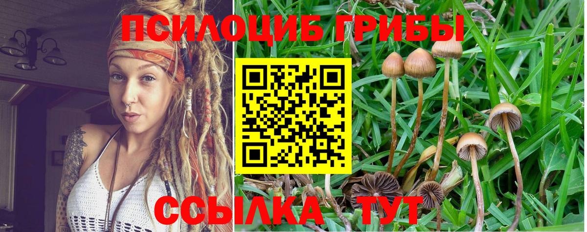Галлюциногенные грибы мицелий Белореченск